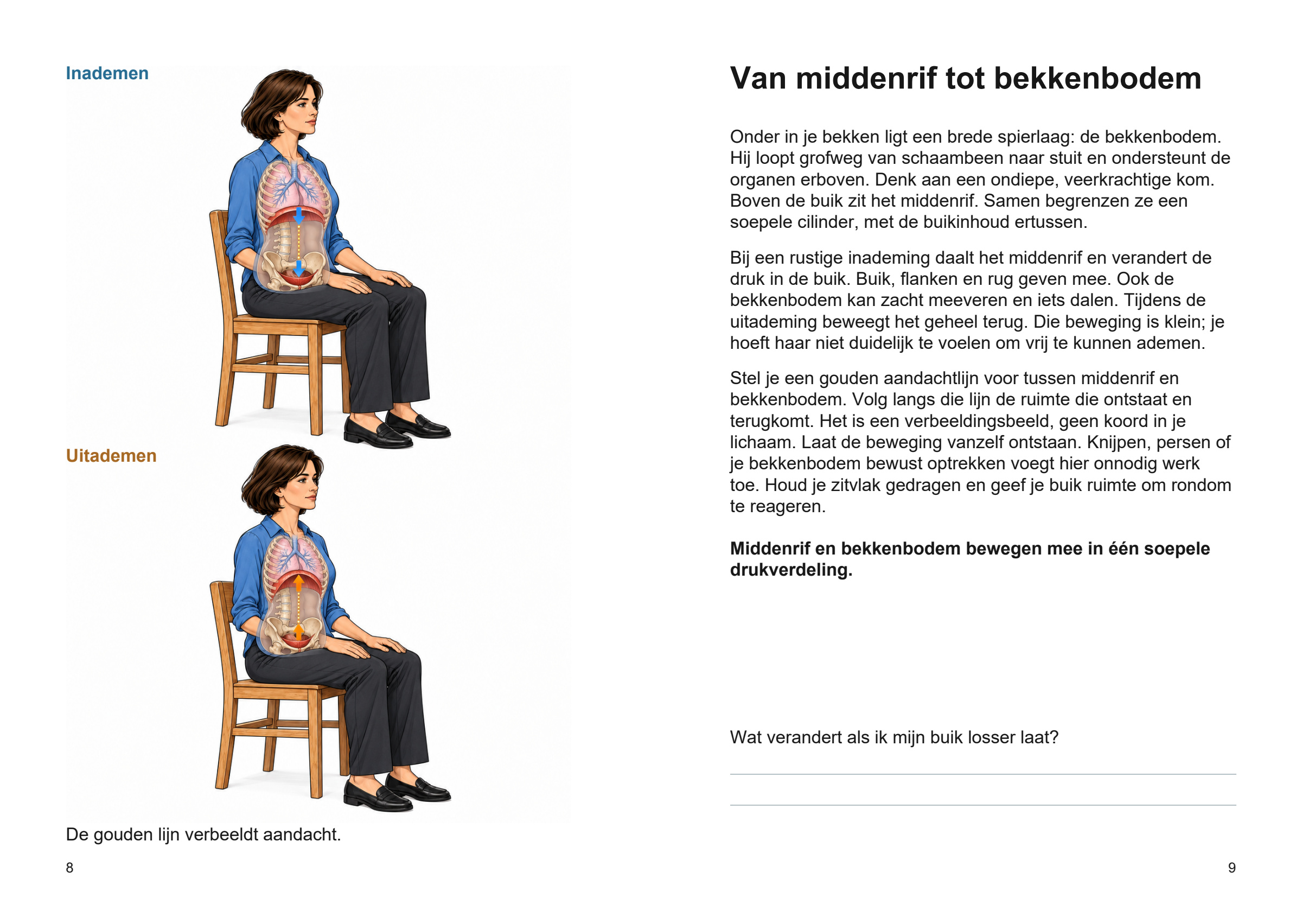 Complete R7-spread Van middenrif tot bekkenbodem: gouden aandachtlijn met in- en uitademing en de bijbehorende uitleg.